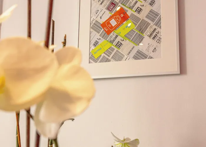 First Bucur 21 Ostello Bucarest