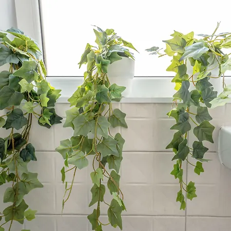 호스텔 First Bucur 21