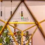 First Bucur 21 Hostel *