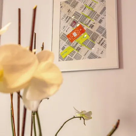 First Bucur 21 Auberge de jeunesse Bucarest