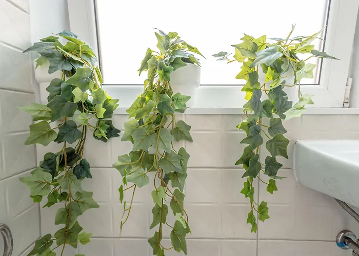 Хостел First Bucur 21