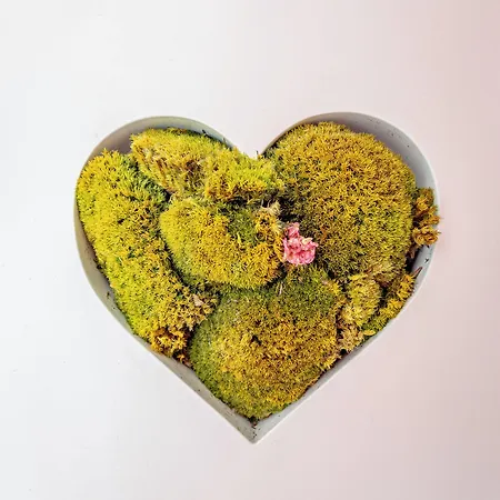 First Bucur 21 Hostel Bucharest