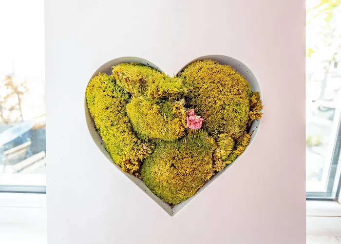 First Bucur 21 Hostel Bukurešť